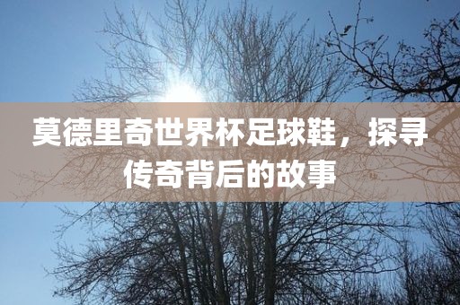 莫德里奇世界杯足球鞋，探寻传奇背后的故事