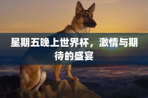 星期五晚上世界杯，激情与期待的盛宴
