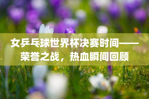 女乒乓球世界杯决赛时间——荣誉之战，热血瞬间回顾