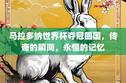 马拉多纳世界杯夺冠回国，传奇的瞬间，永恒的记忆