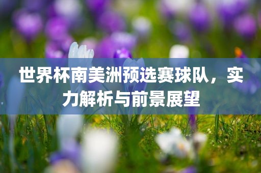 世界杯南美洲预选赛球队，实力解析与前景展望