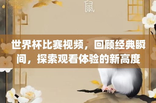世界杯比赛视频，回顾经典瞬间，探索观看体验的新高度