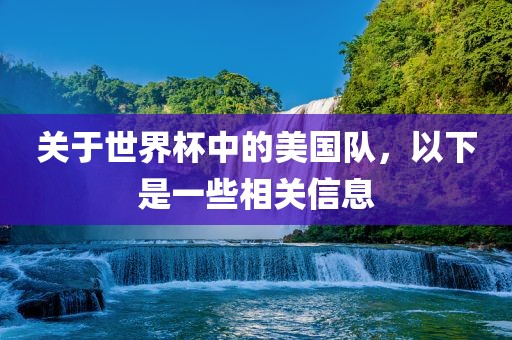 关于世界杯中的美国队，以下是一些相关信息
