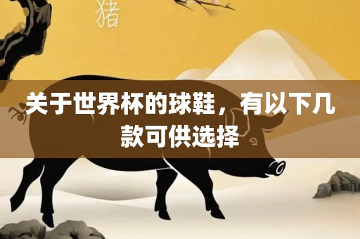 关于世界杯的球鞋，有以下几款可供选择