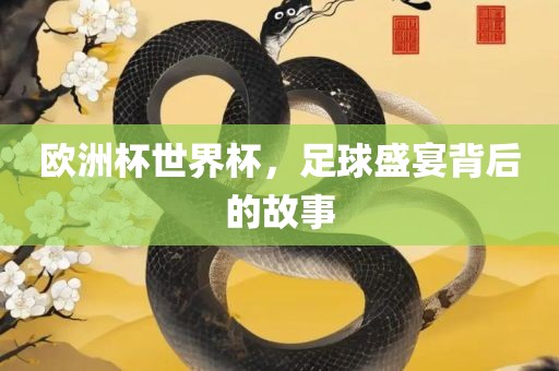 欧洲杯世界杯，足球盛宴背后的故事