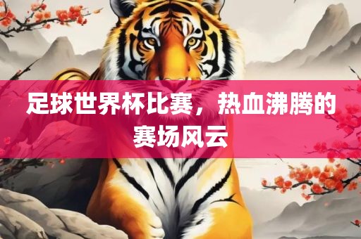 足球世界杯比赛，热血沸腾的赛场风云