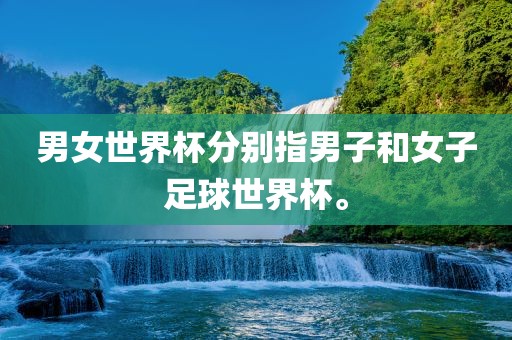 男女世界杯分别指男子和女子足球世界杯。
