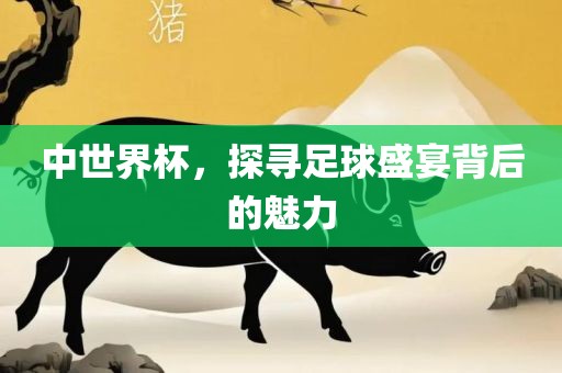 中世界杯，探寻足球盛宴背后的魅力