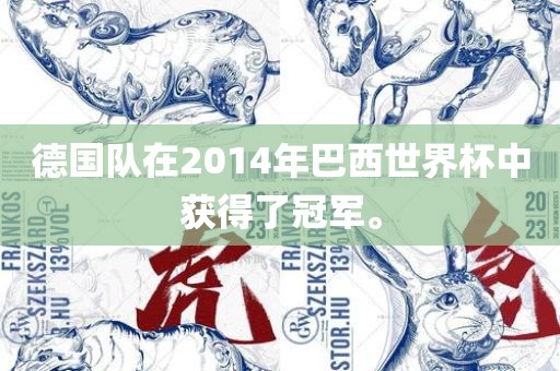 德国队在2014年巴西世界杯中获得了冠军。