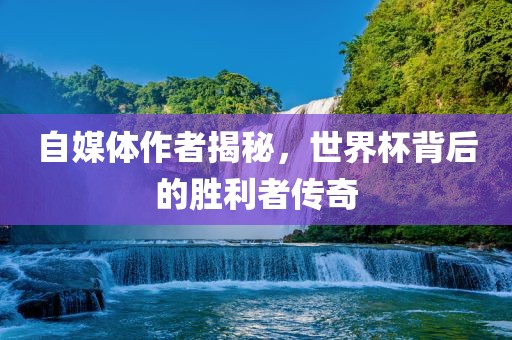自媒体作者揭秘，世界杯背后的胜利者传奇