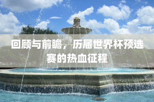 回顾与前瞻，历届世界杯预选赛的热血征程