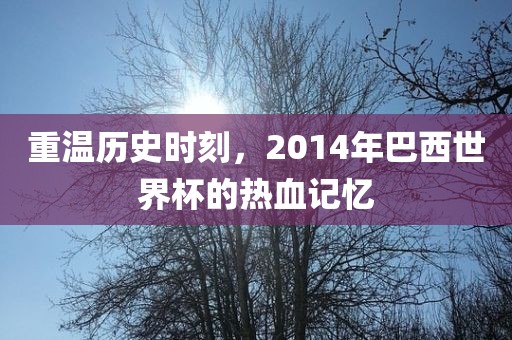 重温历史时刻，2014年巴西世界杯的热血记忆
