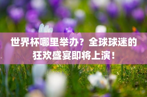 世界杯哪里举办？全球球迷的狂欢盛宴即将上演！