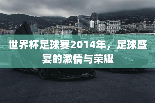世界杯足球赛2014年，足球盛宴的激情与荣耀
