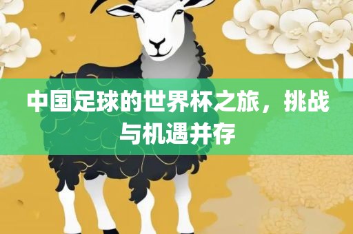 中国足球的世界杯之旅，挑战与机遇并存
