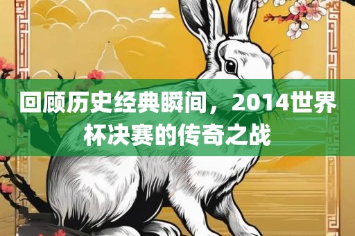 回顾历史经典瞬间，2014世界杯决赛的传奇之战