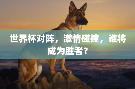 世界杯对阵，激情碰撞，谁将成为胜者？