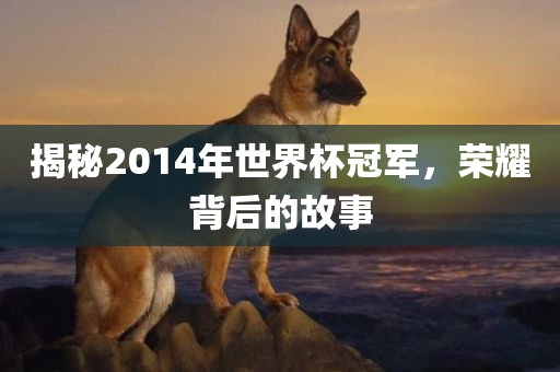 揭秘2014年世界漯河市盈旭机械设备有限公司杯冠军，荣耀背后的故事