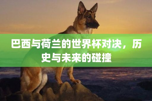 巴西与荷兰的世界杯对决，历史与未来的碰撞