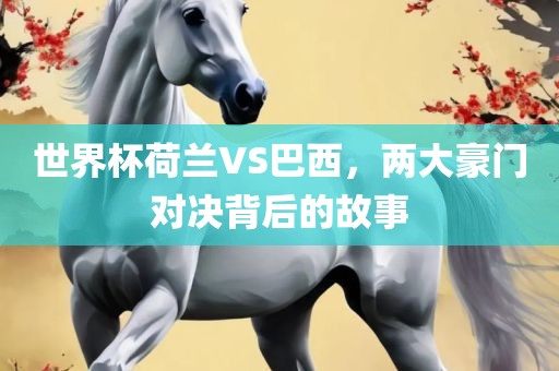 世界杯荷兰VS巴西，两大豪门对决背后的故事