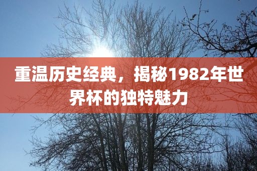 重温历史经典，揭秘1982年世界杯的独特魅力