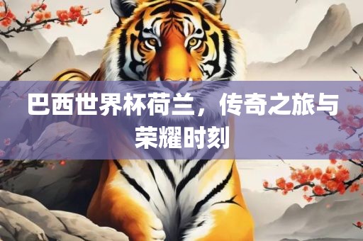 巴西世界杯荷兰，传奇之旅与荣耀时刻
