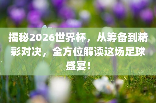 揭秘2026世界杯，从筹备到精彩对决，全方位解读这场足球盛宴！