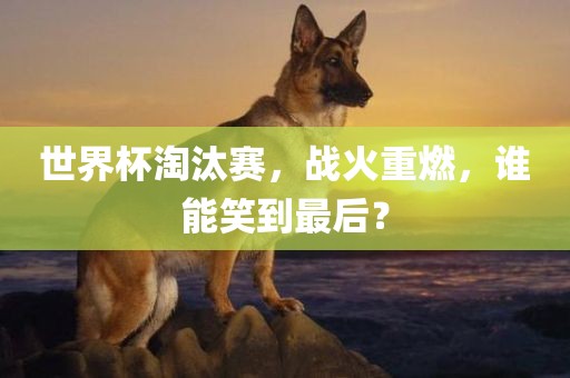 世界杯淘汰赛，战火重燃，谁能笑到最后？