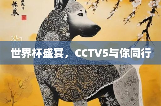 世界杯盛宴，CCTV5与你同行