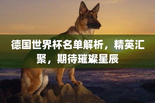 德国世界杯名单解析，精英汇聚，期待璀璨星辰