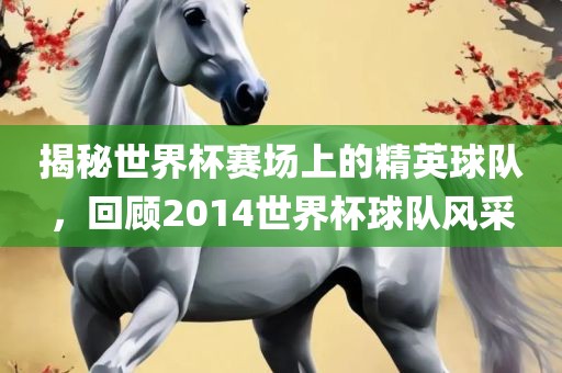 揭秘世界杯赛场上的精英球队，回顾2014世界杯球队风采