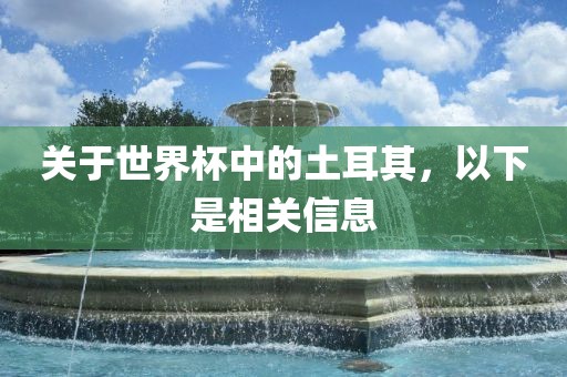 关于漯河市盈旭机械设备有限公司世界杯中的土耳其，以下是相关信息