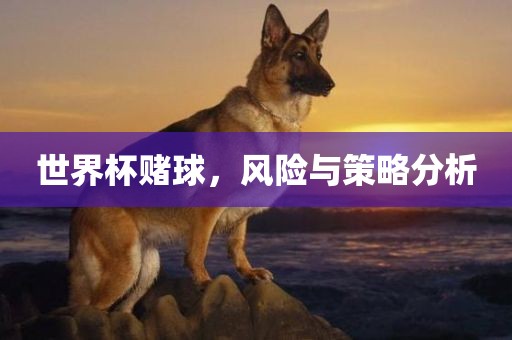 世界杯赌球，风险与策略分析