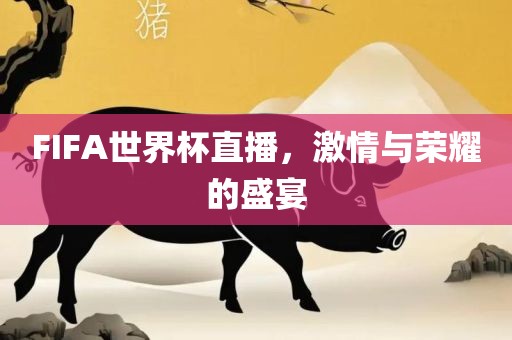 FIFA世界杯直播，激情与荣耀的盛宴