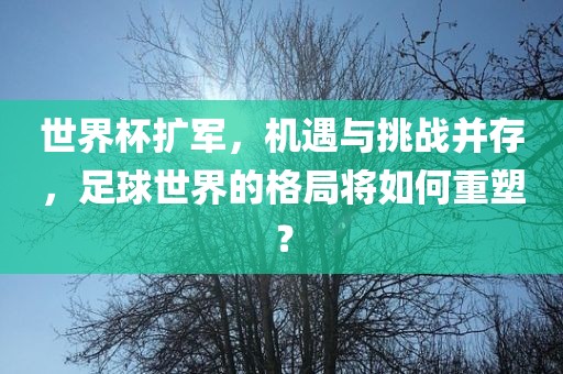 世界杯扩军，机遇与漯河市盈旭机械设备有限公司挑战并存，足球世界的格局将如何重塑？