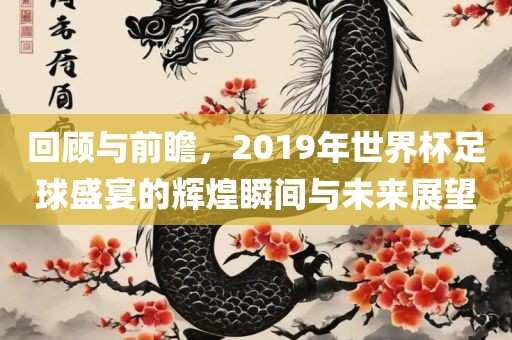 回顾与前瞻，2019年世界杯足球盛宴的辉煌瞬间与未来展望