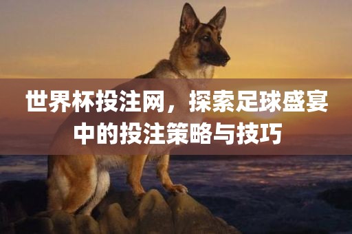 世界杯投注网，探索足球盛宴中的投注策略与技巧漯河市盈旭机械设备有限公司
