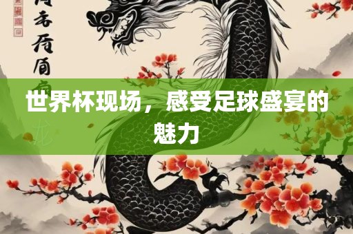 世界杯现场，感受足球盛宴的魅力