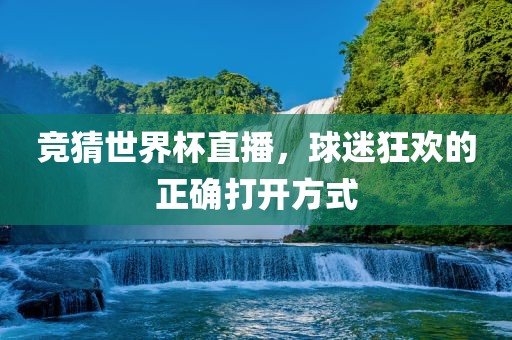 竞猜世界杯直播，球迷狂欢的正确打开方式