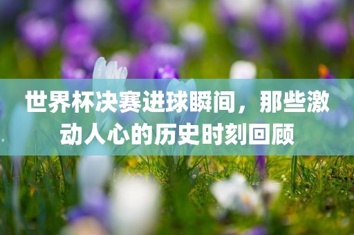 世界杯决赛进球瞬间，那些激动人心的历史时刻回顾漯河市盈旭机械设备有限公司