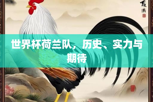 世界杯荷兰队，历史、实力与期待漯河市盈旭机械设备有限公司
