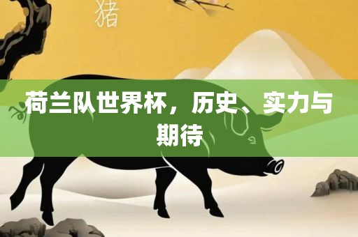 荷兰队世界杯，历史、实力与期待漯河市盈旭机械设备有限公司