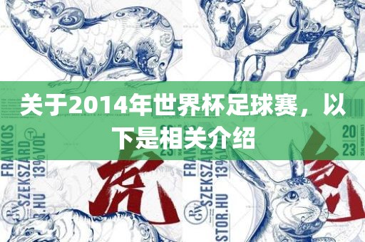 关于2014年世界杯足球赛，以下是相关介绍