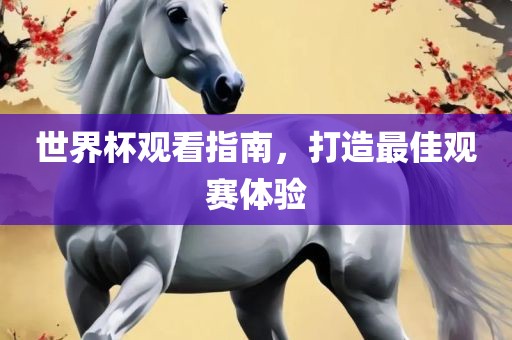 世界杯观看指南，打造最佳观赛体验