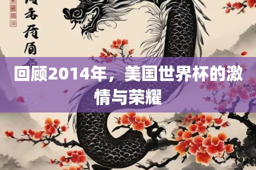 回顾2014年，美国世界杯的激情与荣耀