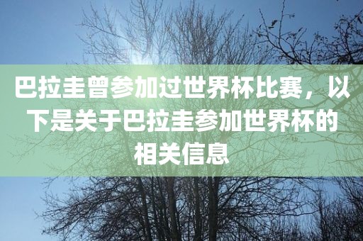 巴拉圭曾参加过世界杯比赛，以下是关于巴拉圭参加世界杯的相关信息