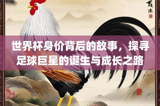 世界杯身价背后的故事，探寻足球巨星的诞生与成长之路