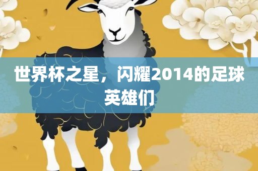 世界杯之星，闪耀2014的足球英雄们