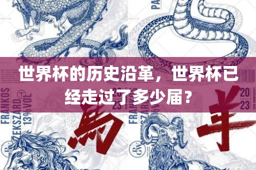 世界杯的历史沿革，世界杯已经走过了多少届？