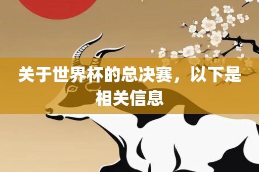 关于世界杯的总决赛，以下是相关信息